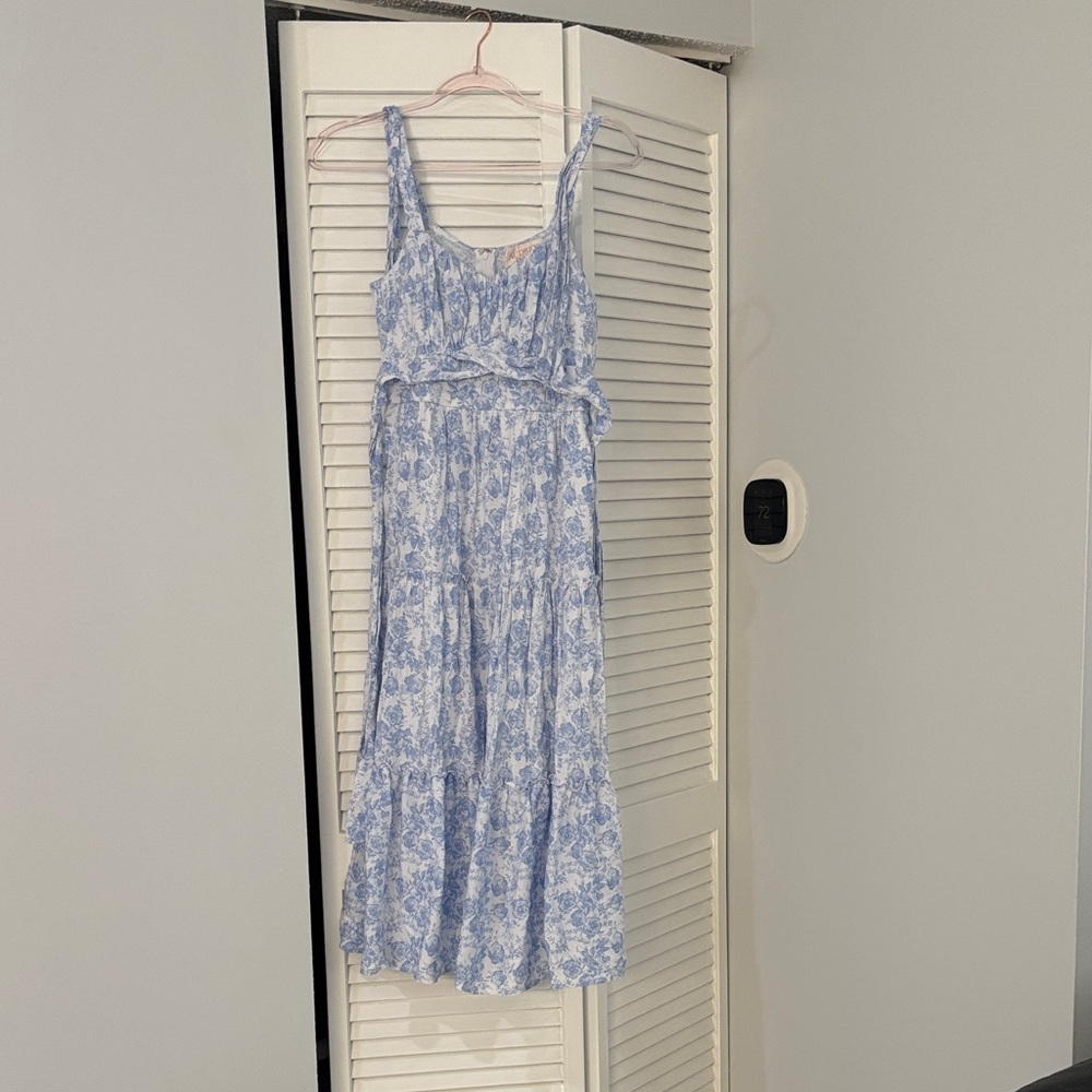 Francesca's Collections Blue Floral Maxi Dress